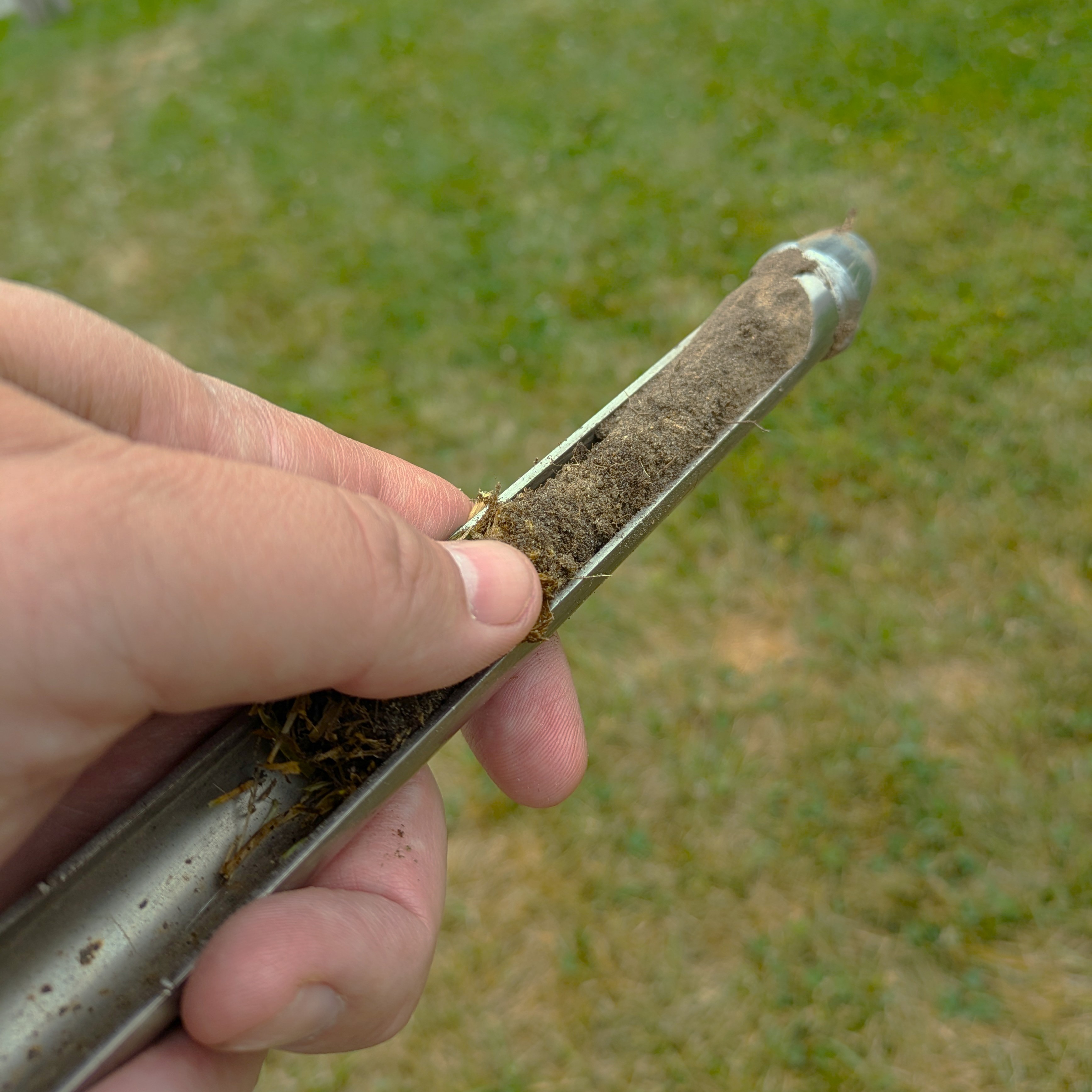 Lawn struggling? Skip the soil test for now, add organic matter instead ...